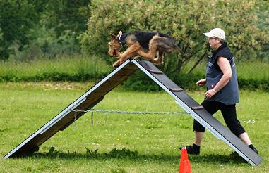 Agility4_pc