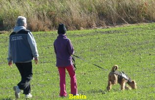 P1070540--2--korr P1070540--2--korr