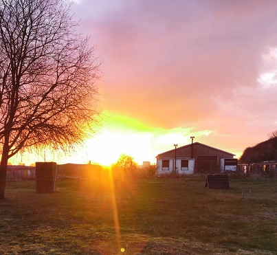 IMG-20200320-WA0018 (2)