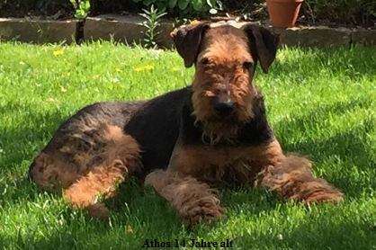 PHOTO-2018-05-16-23-08-03-korr PHOTO-2018-05-16-23-08-03-korr