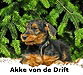 a_Akke_kl a_Akke_kl