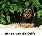 a_Athos_kl a_Athos_kl