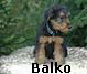 a_balko03