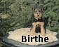 a_birthe03