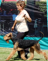 boris6