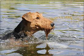 wasser-3