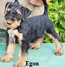 Egon-stand-korr-PC