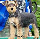 Emelistand-korr-pc