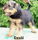 Ewald-stand-korr-pc