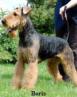 boris51
