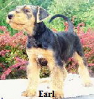 earl-seite