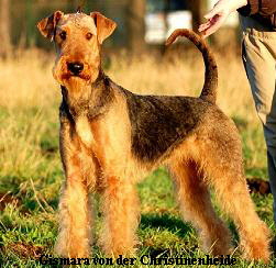 a_Gismara_steh_1_1