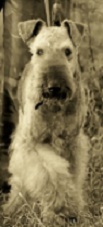 korr-2